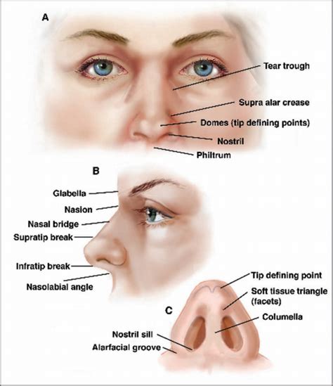 spasms in bridge of nose.